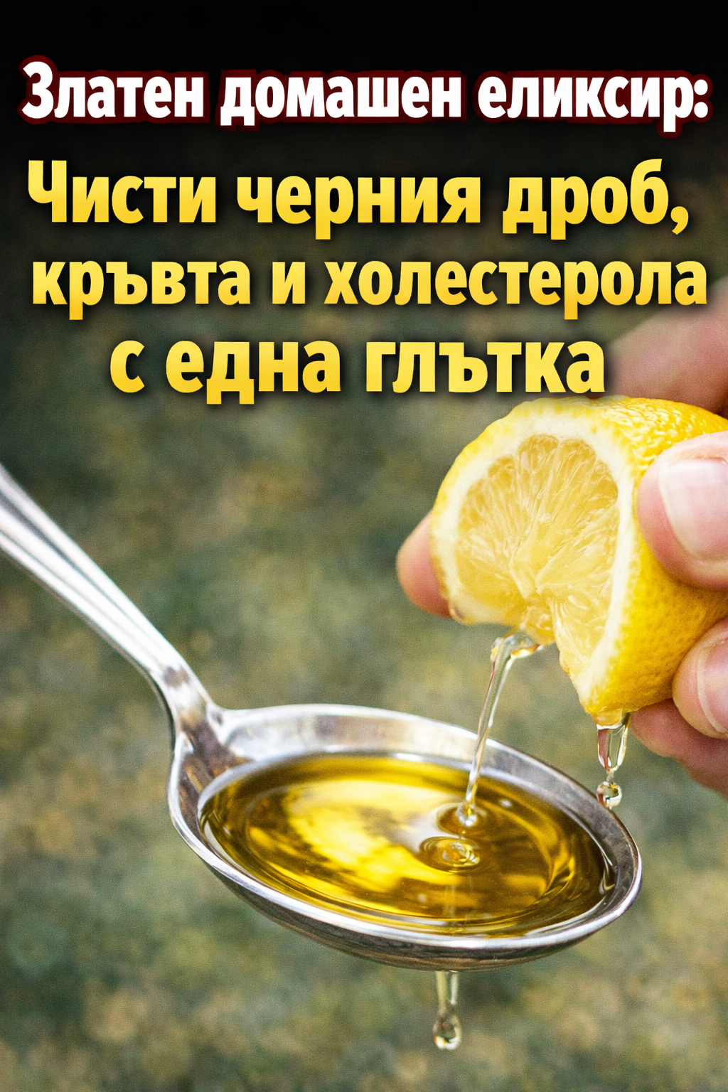 ba54eb58 8bb1 465f 9420 87ce33708fd3