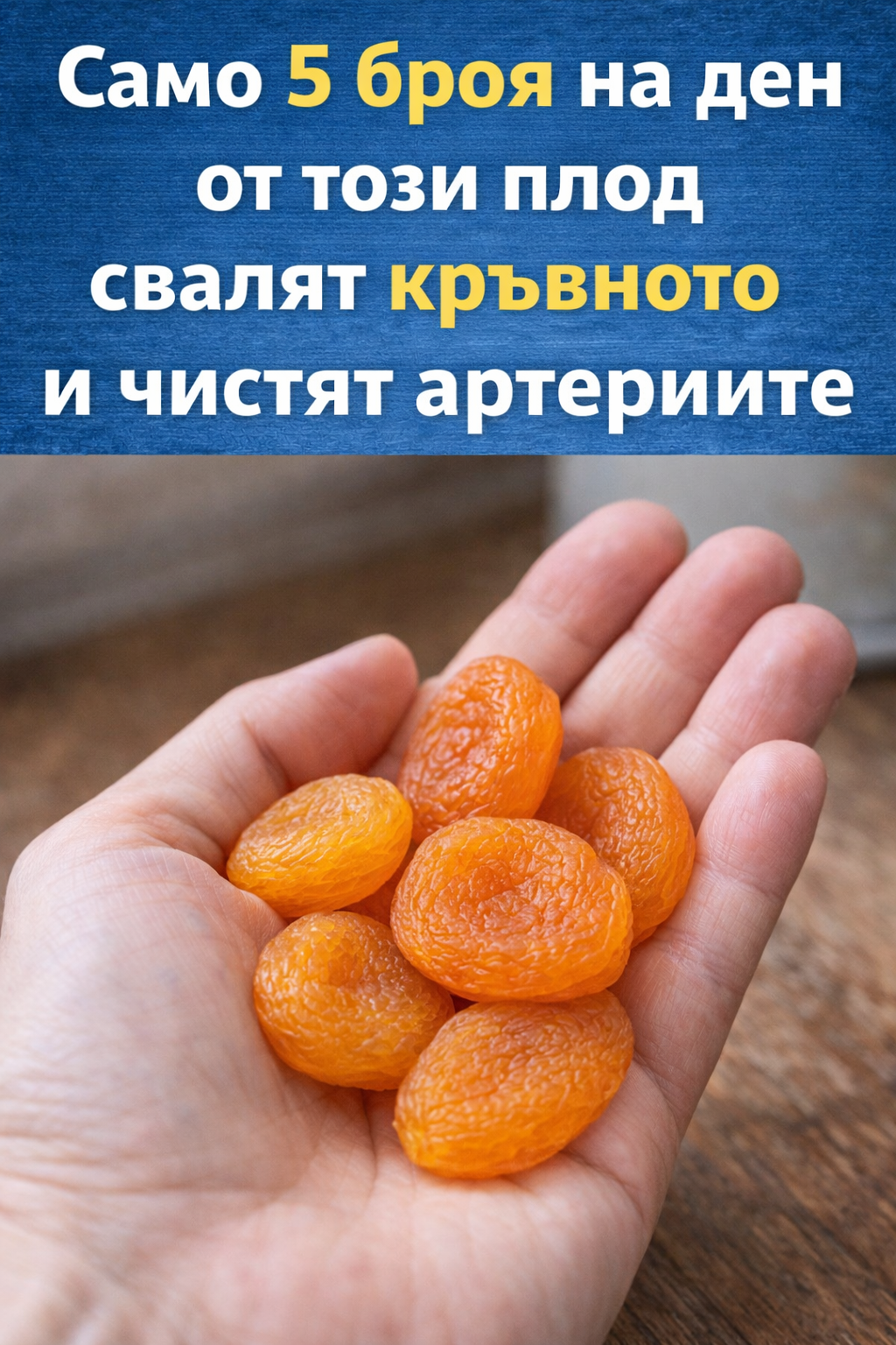 0736a28e 9614 4070 aaff 9c73474577e1