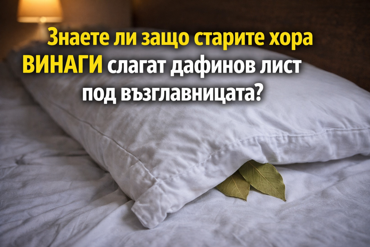 Знаете ли защо старите хора ВИНАГИ слагат дафинов лист под възглавницата? 1 a0b77145 3b8a 41b6 bd4f bc56cfdd6f49