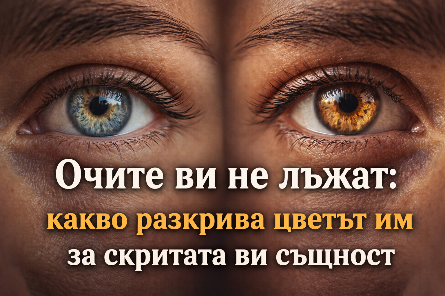605e612c e039 4f74 a0bf 8d11a96582af