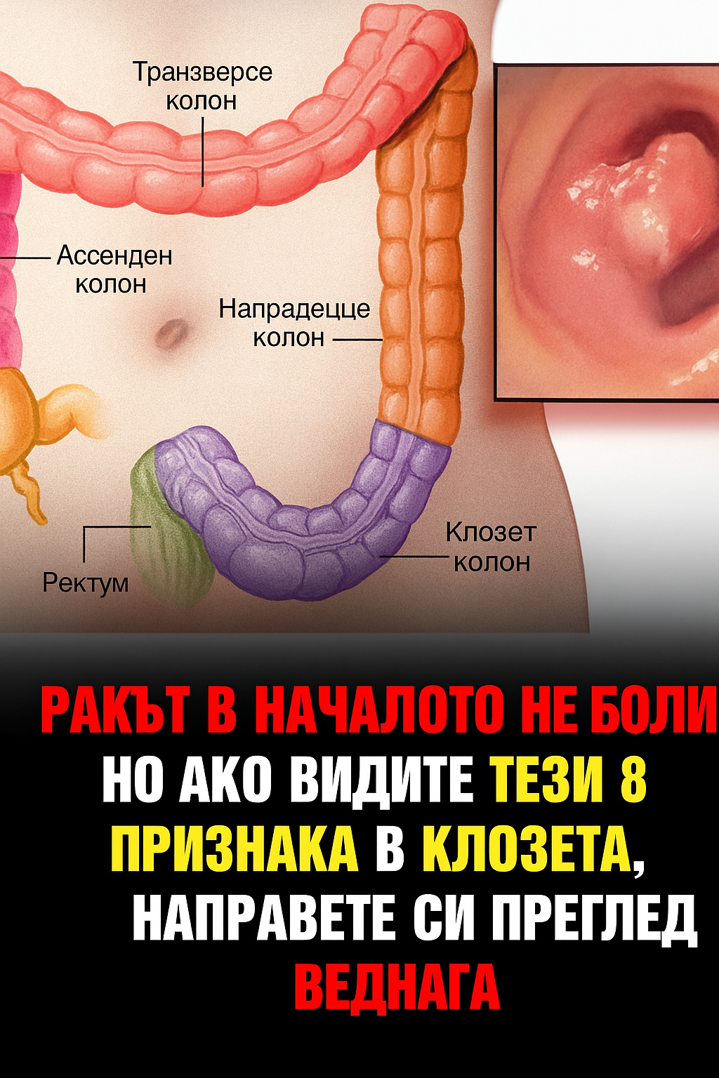 42fa5851 41e3 47f7 ae3a 09c9bac25408