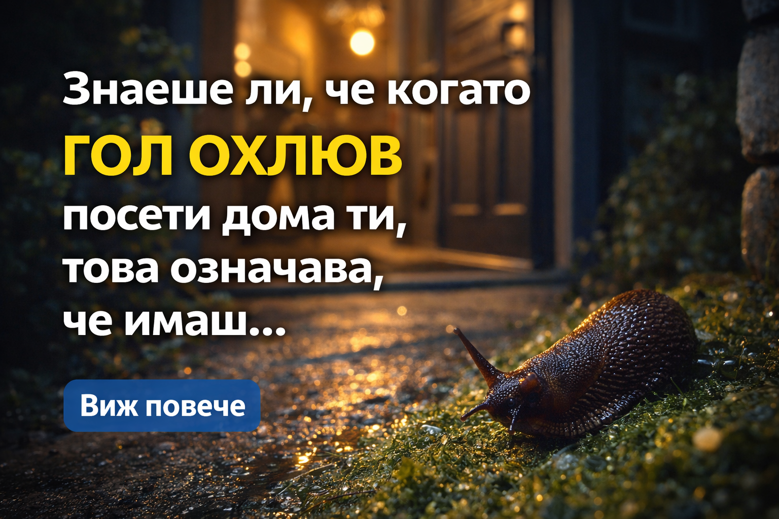 Знаеше ли, че когато ГОЛ ОХЛЮВ посети дома ти, това означава, че имаш... Виж повече 1 dfab9cca cbfa 4439 8ad6 37b8b9246115