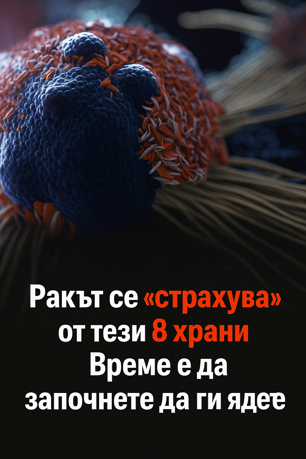 02c8dbcc da4f 4da2 b59f 45115af60bed