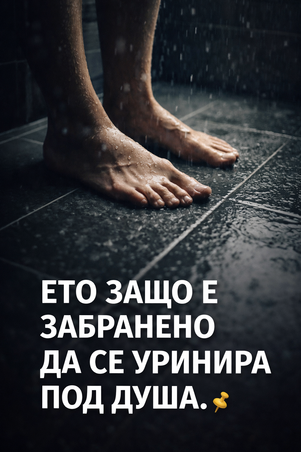 568f8ba3 f4d2 4bb6 a584 d0af35213eb8