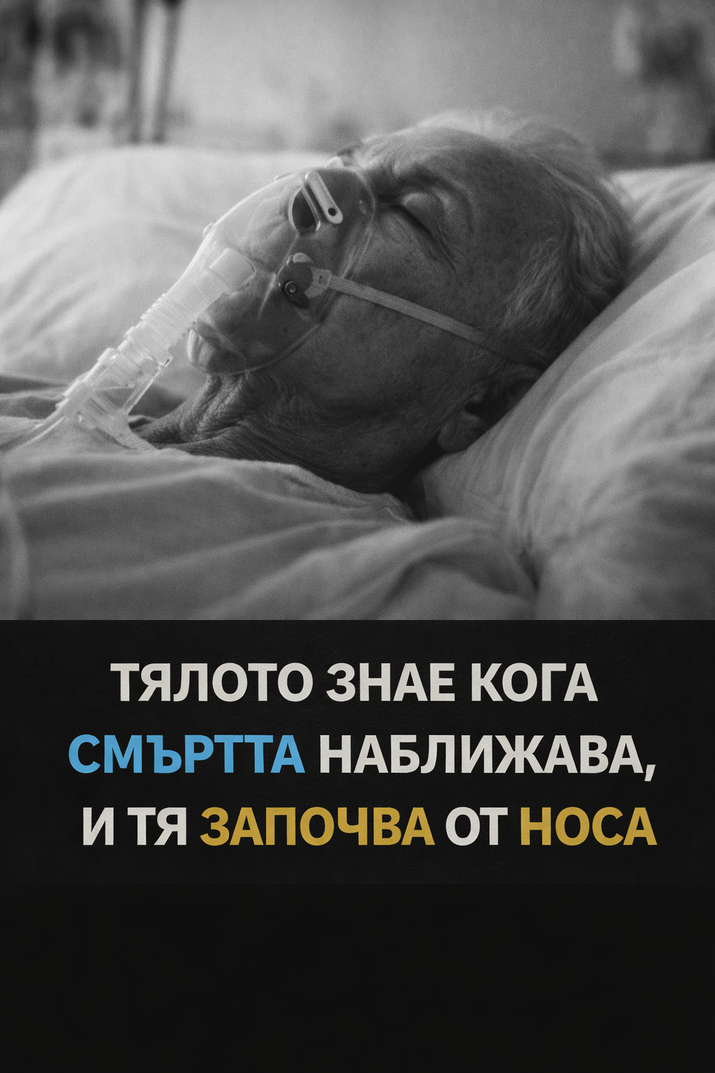 Тялото знае кога смъртта наближава — и тя започва от носа 1 6f4c3f5a d0db 435e 8259 1ee01456131c