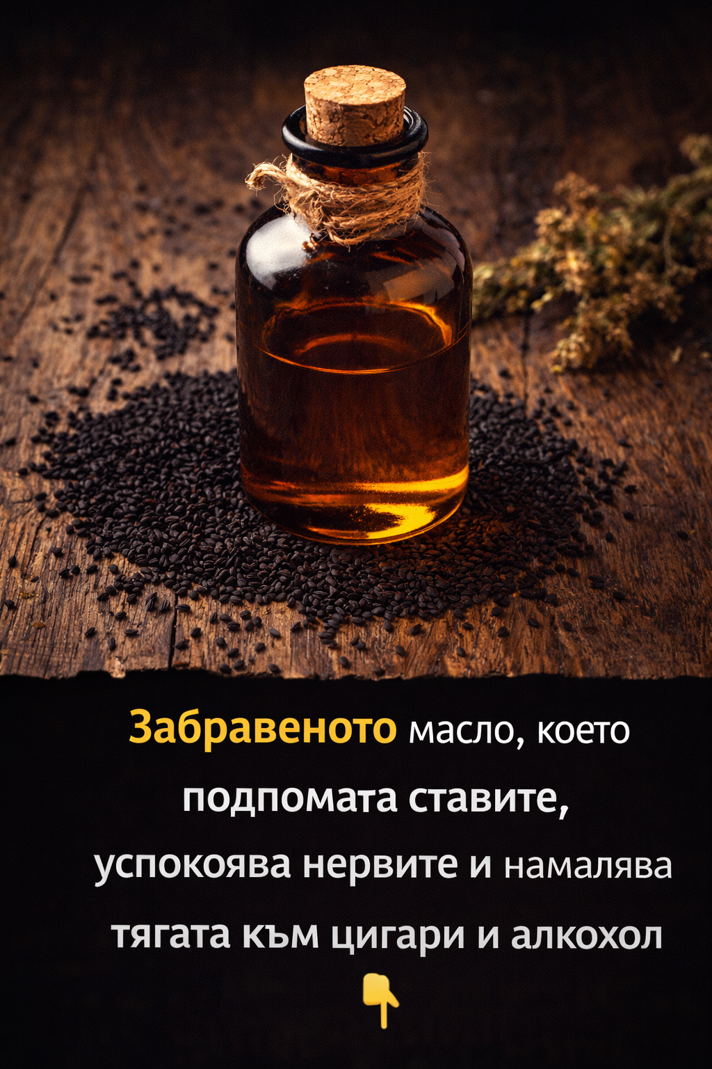 e283752e bd03 442b 9844 95b97299fbb9