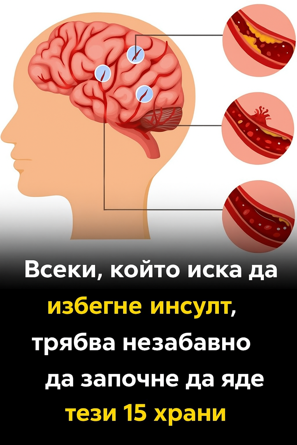 13df8139 8ce4 4528 b384 fdcd3d265766