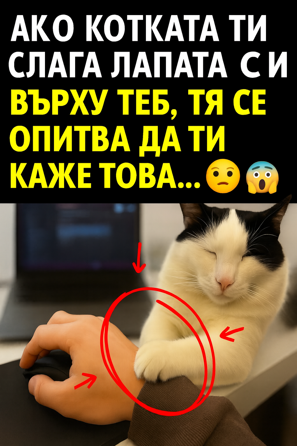 52ed290a 1230 4302 bd6d 40d714a5e52f
