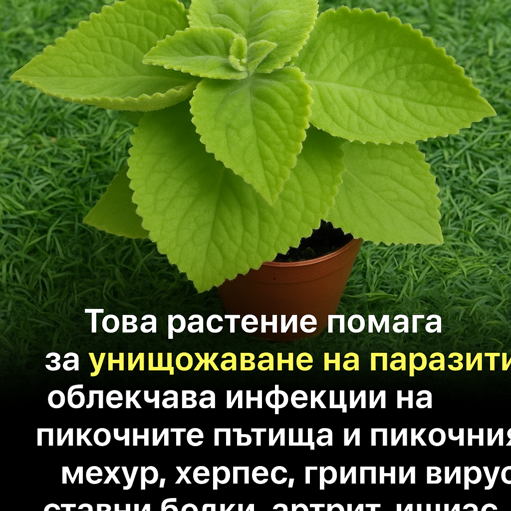 61204bc0 d482 4051 9334 c6f97c7980fa