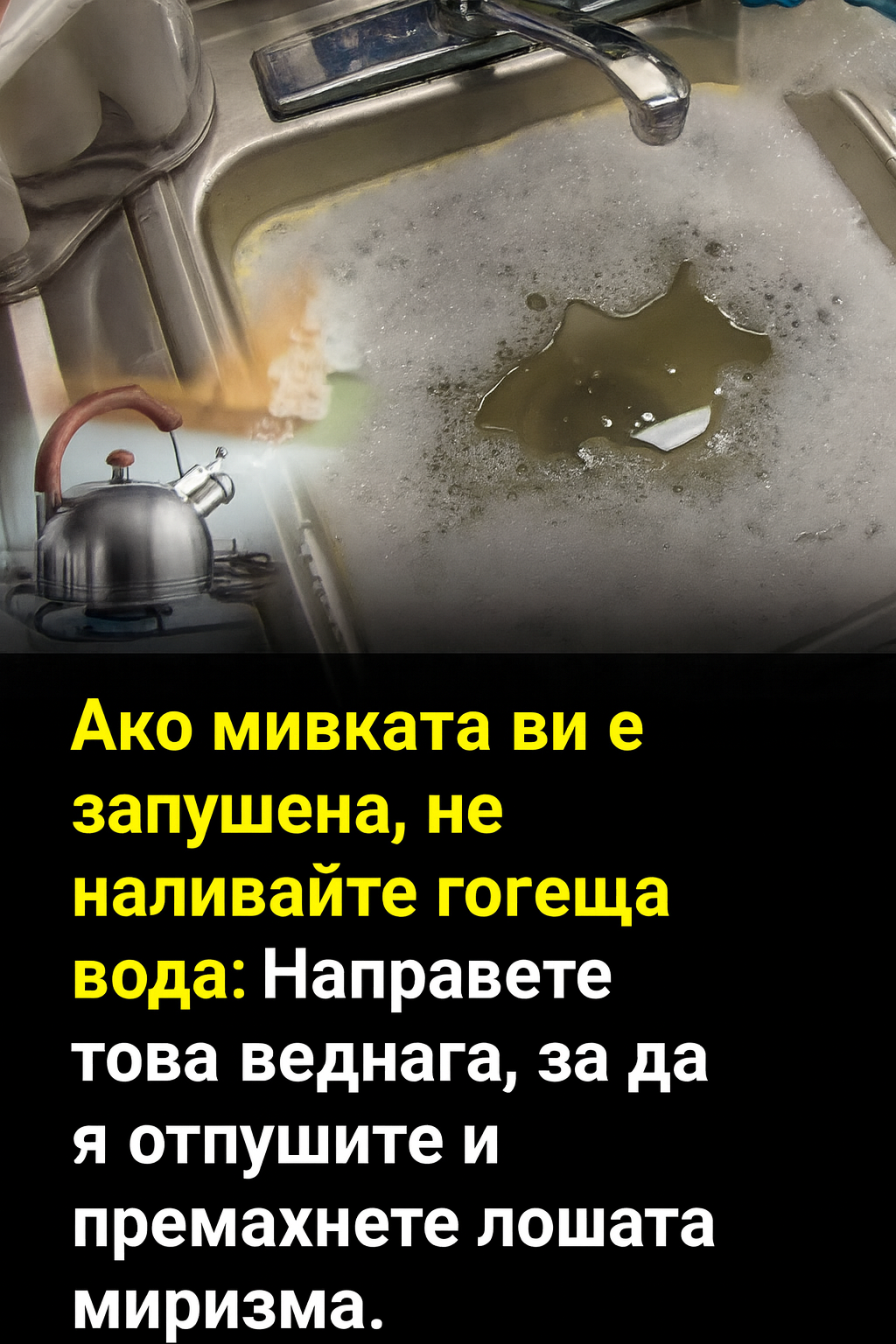 7fb86a9d d6b2 4f1b 8213 769f8a914044