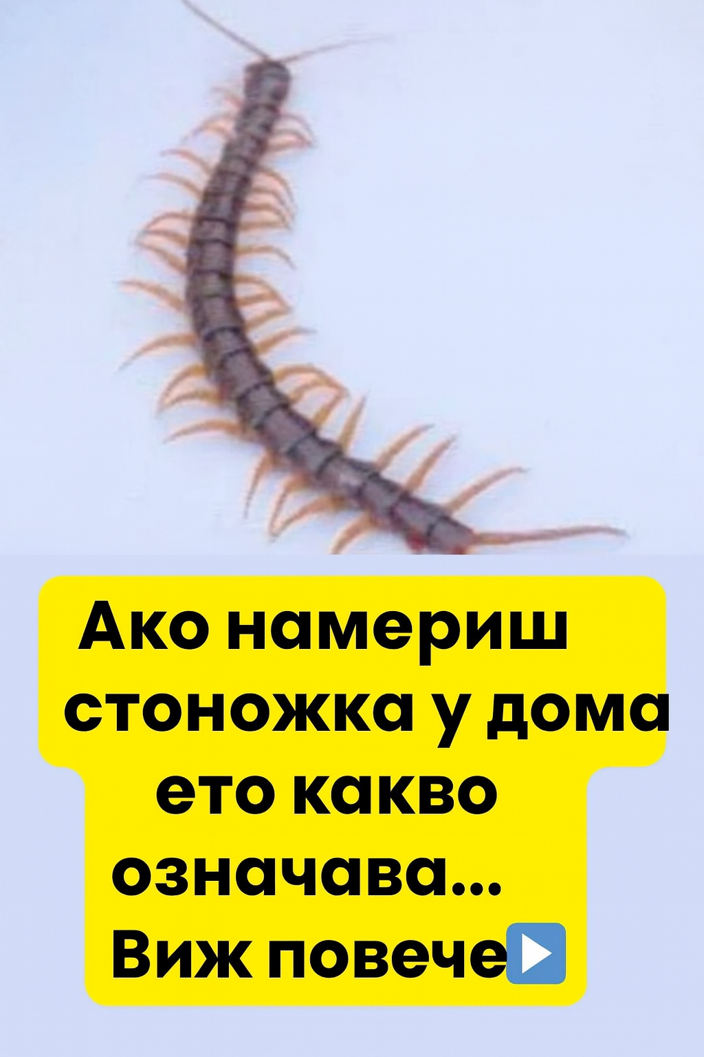 cb57d653 66f2 4ac3 a039 e9a0f712cef5