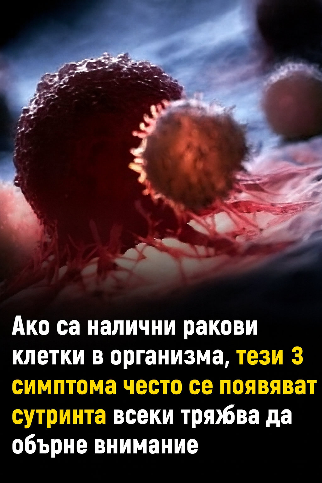 f9d99da1 5b5c 4c83 ab48 0f3e3dbaf882