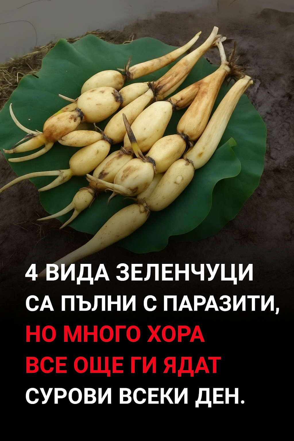 4 вида зеленчуци са пълни с паразити, но много хора все още ги ядат сурови всеки ден. 1 7dbf2ca5 7ed5 423e bdf1 62c726d9eeb2
