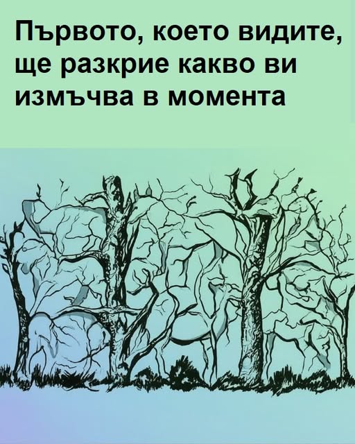 Първото, което видите, ще разкрие какво ви измъчва в момента. 😱 1 600820833 1428500205952864 7907559608083852744 n