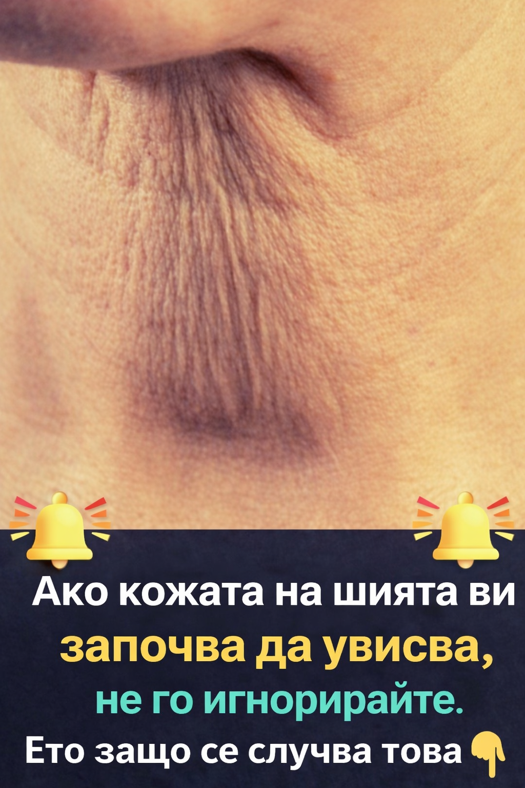 66b5bf8e c6d9 45cb 8ad7 c28aec7514eb
