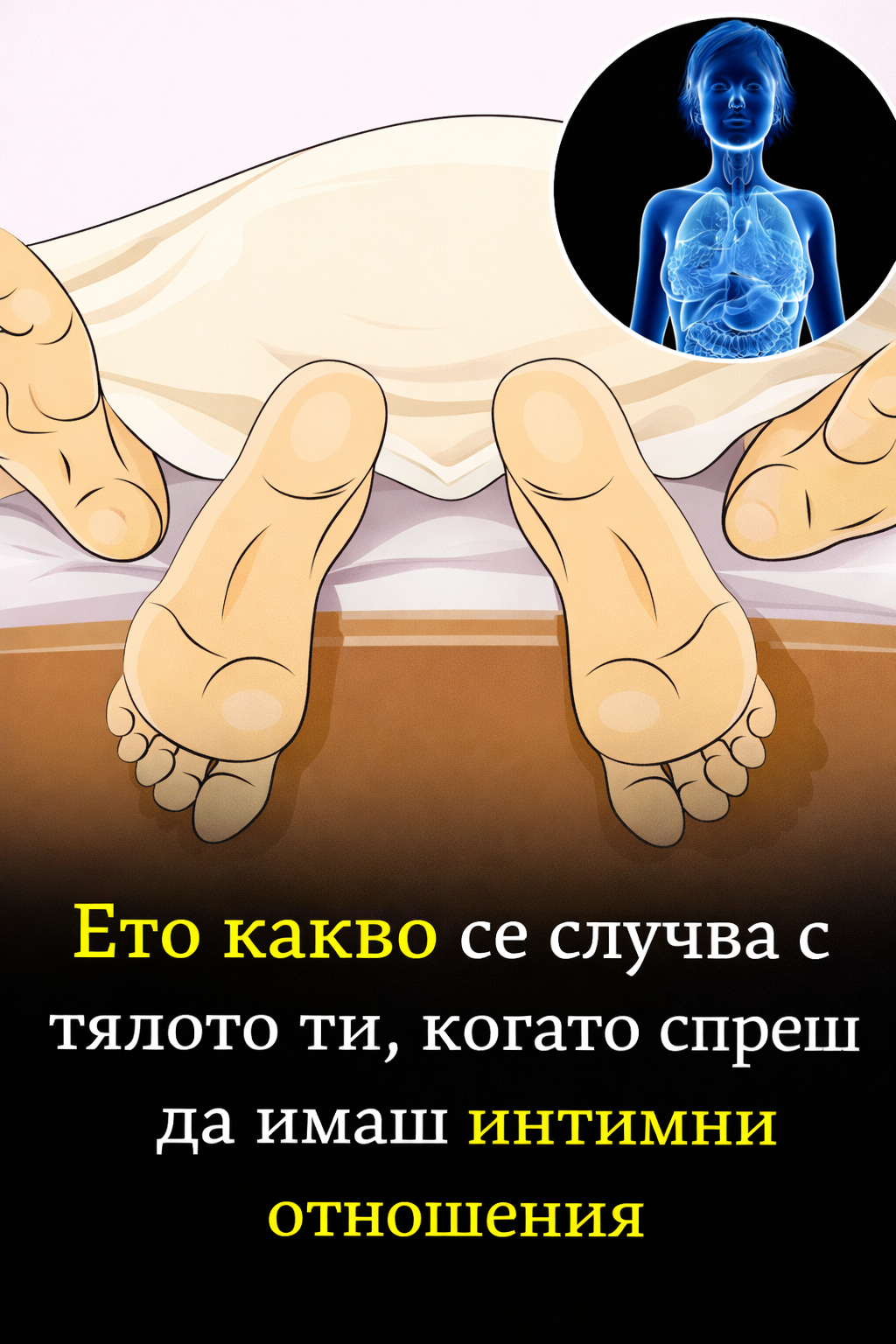 03674d78 1ba4 4d0f 9753 1a1ce48d3166