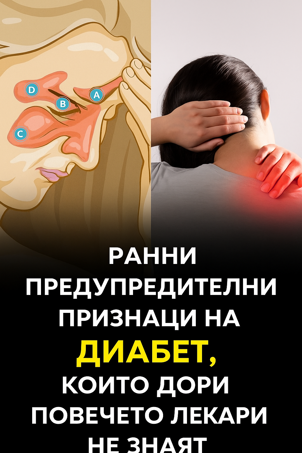 16d828a2 419d 4115 b22d dd33d47d3456