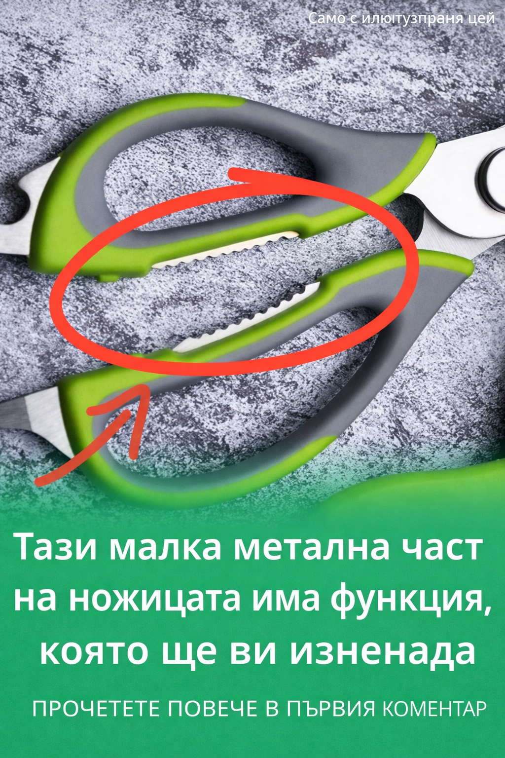 1ef5235d 8efd 4c2d bc24 d822e1106026