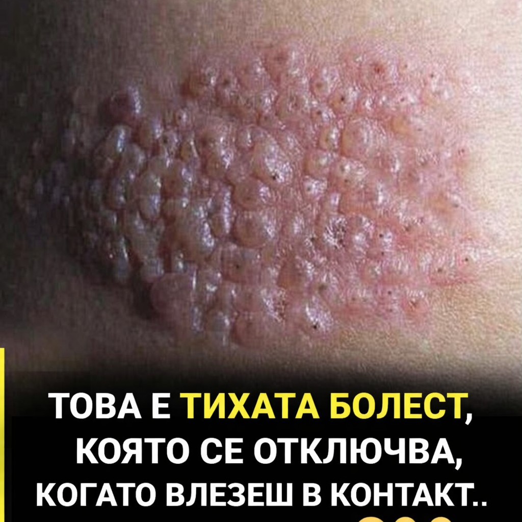 2ba09c79 1d46 438a a348 fcff3ece2816