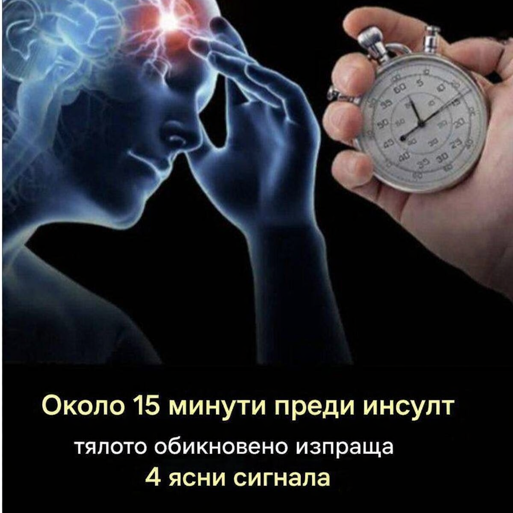51519503 5a66 4817 bb3f 982232d0c6e1