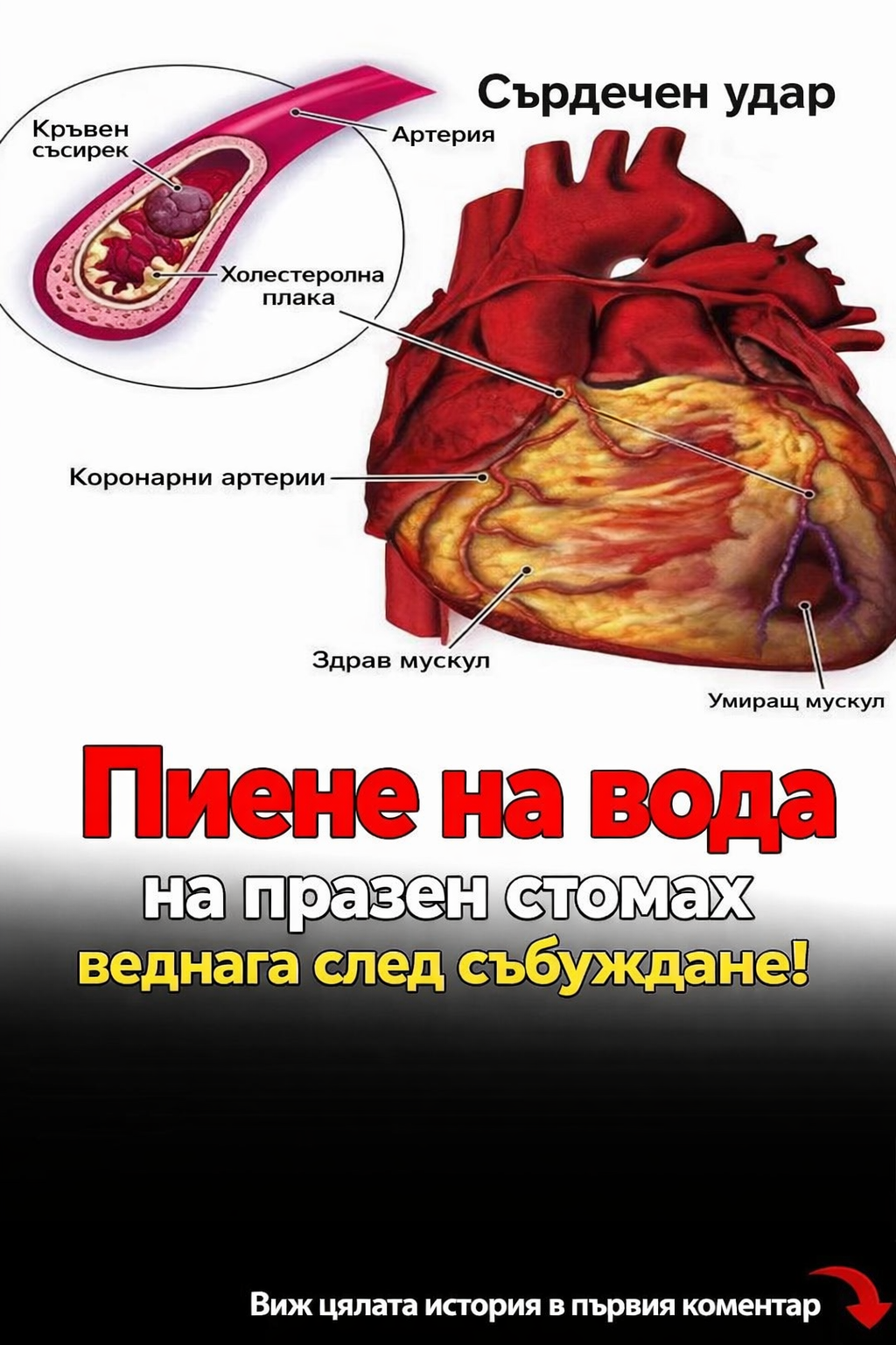52a6dcf0 f17e 4d9a 8da9 f79e779b9bf2
