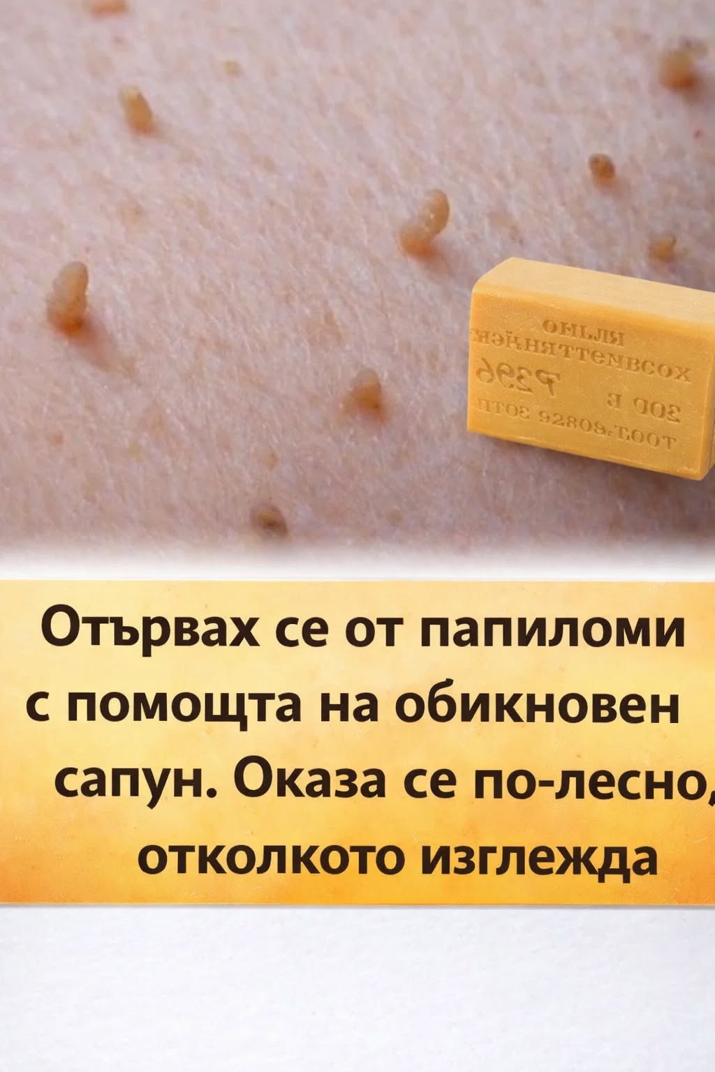 608502229 1440585664744318 4679337769678056307 n