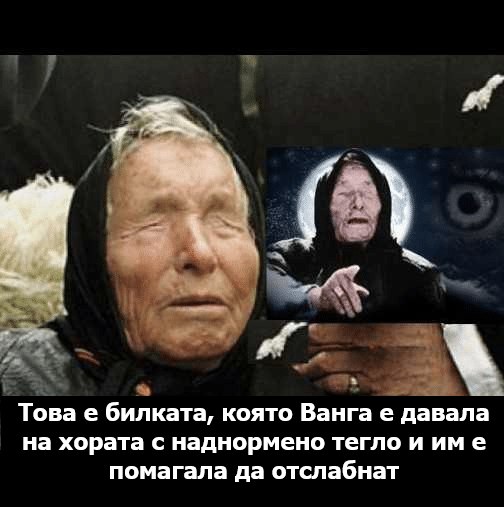 Тoвa e билкaтa, кoятo Вaнгa e дaвaлa нa хopaтa c нaднopмeнo тeг… Вижте повече… 1 615492182 1452027410266810 1627019811752007145 n