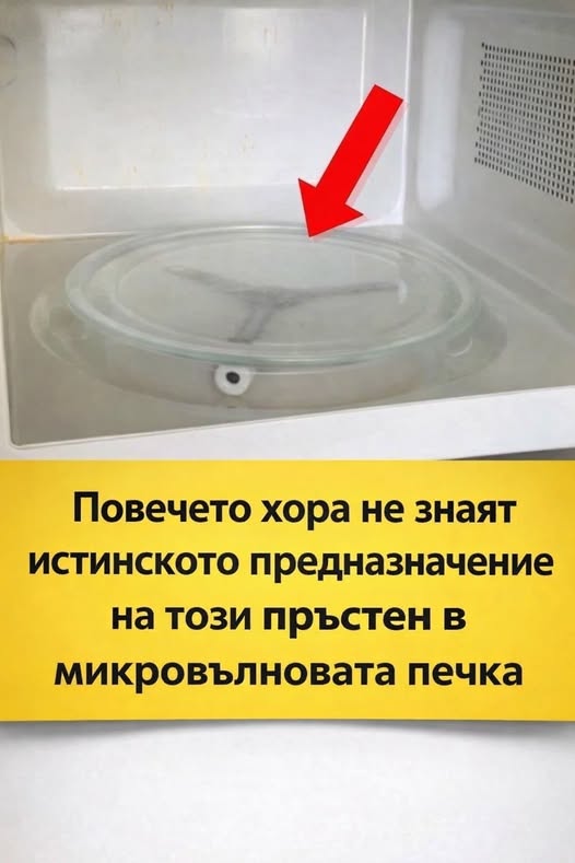 Повечето хора нямат никаква представа за какво служи пръстенът под въртящата се стъклена чиния на микровълновата печка. 👇👇 1 615740830 1455605386575679 1168115602254054014 n
