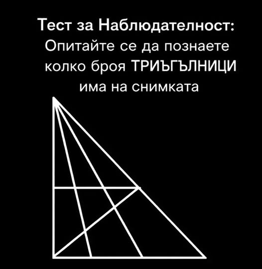 615813866 1453821986754019 4440681123413170456 n