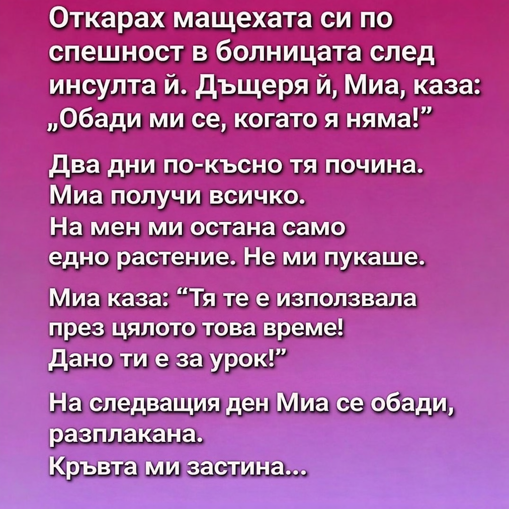 bc8d31a2 7aa3 4f8b 94cb 2c5d5b72f4c6