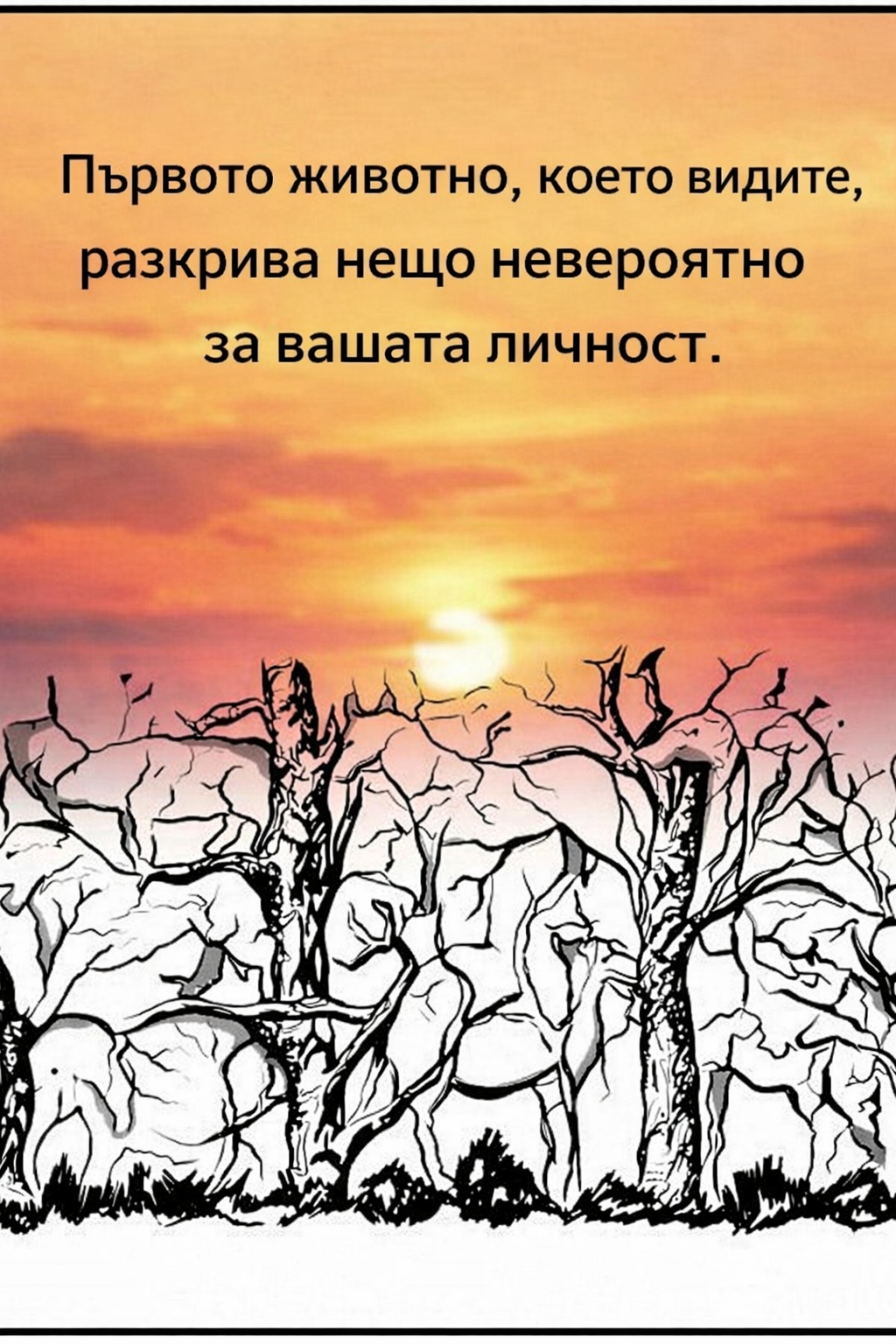 c0dea412 0980 4119 944d ba240db8285e