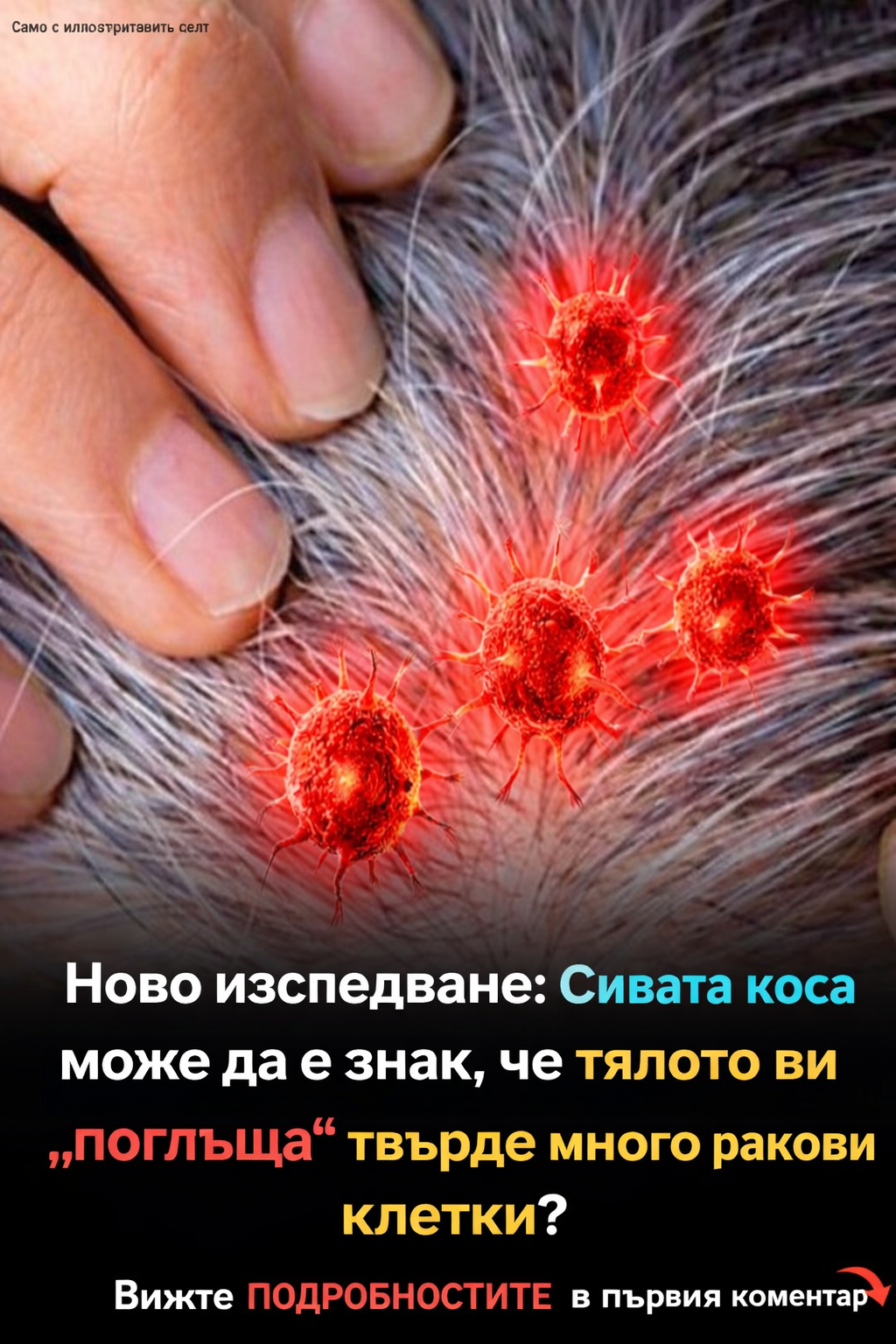 c24f96ea b4af 4df3 ad86 d626af34afa6