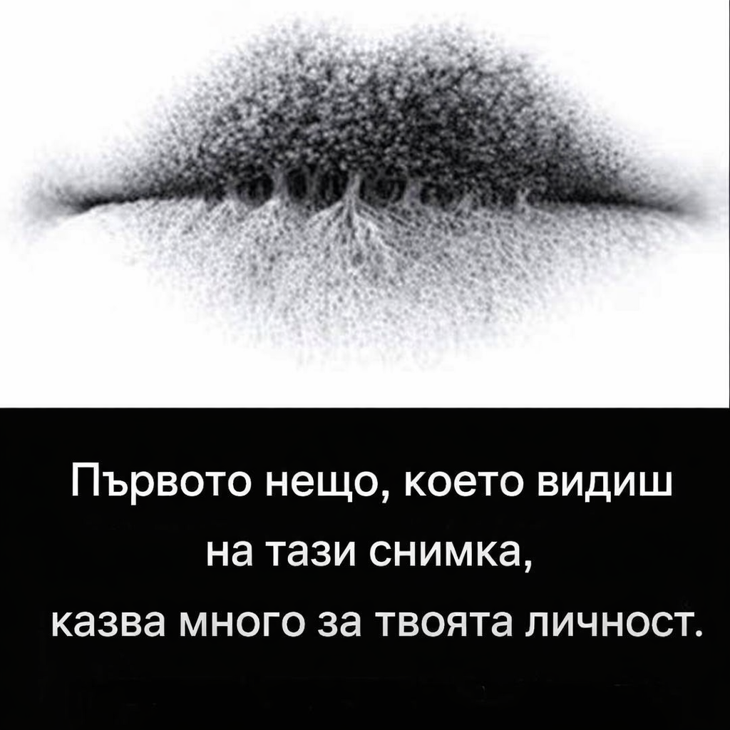 d50ab4ae 0848 4b06 87dc 7893321105af