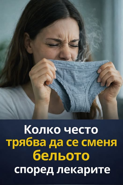 Колко често е препоръчително да подменяте бельото си… 👀👇 1 626805816 1470331661769718 1880800740670978628 n