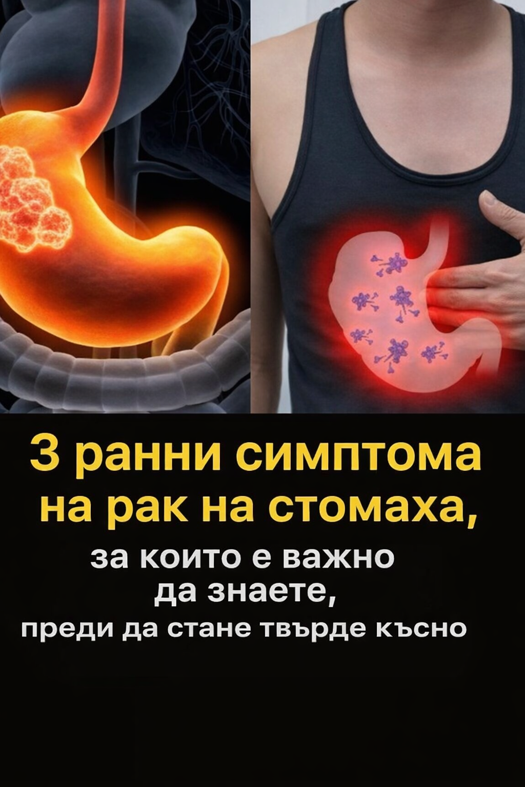 bb975415 50e5 46be 9125 9dbdd7fb4c8c
