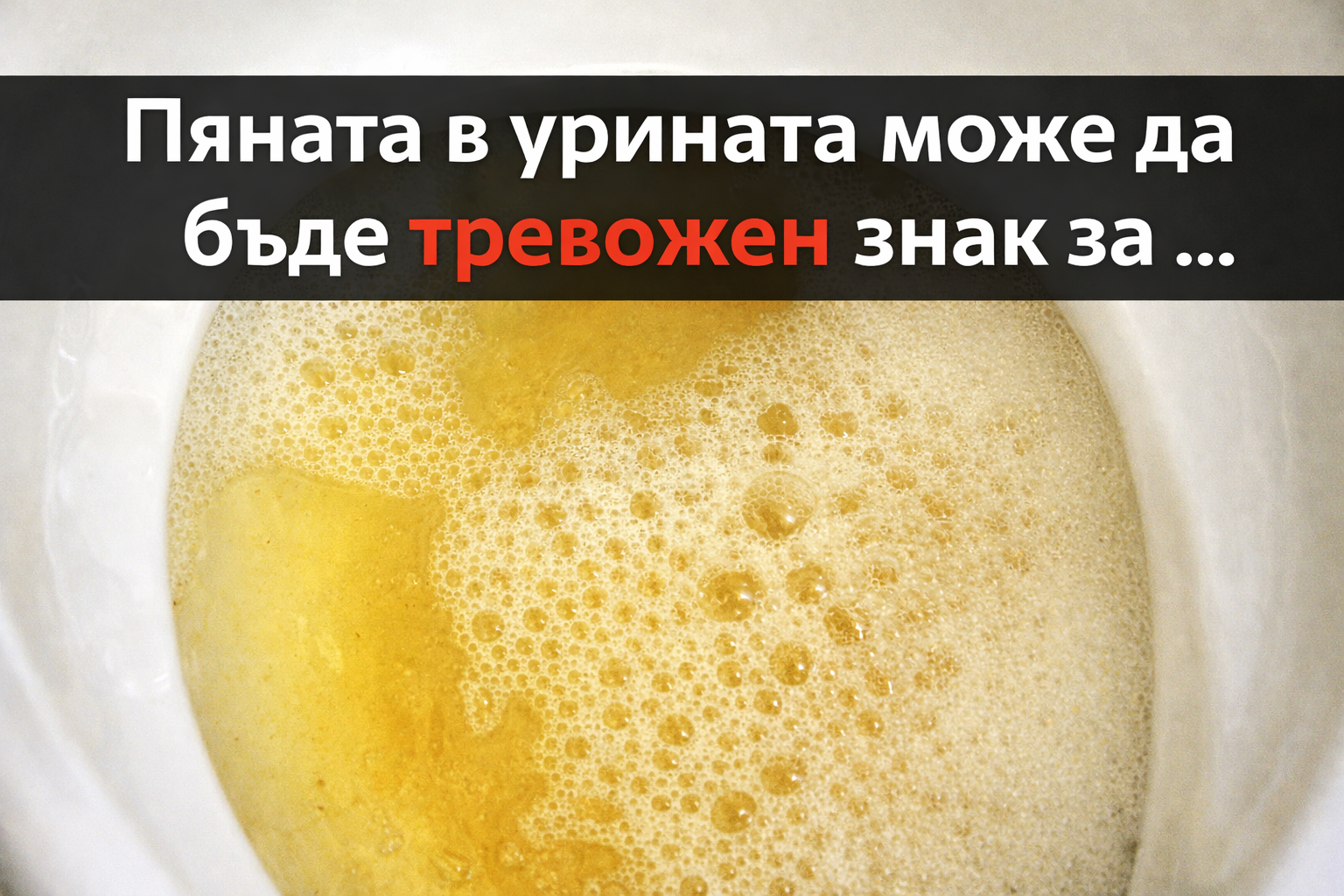 f5baa3bc 8f5e 4c9f 98a3 c8bc48defdf8
