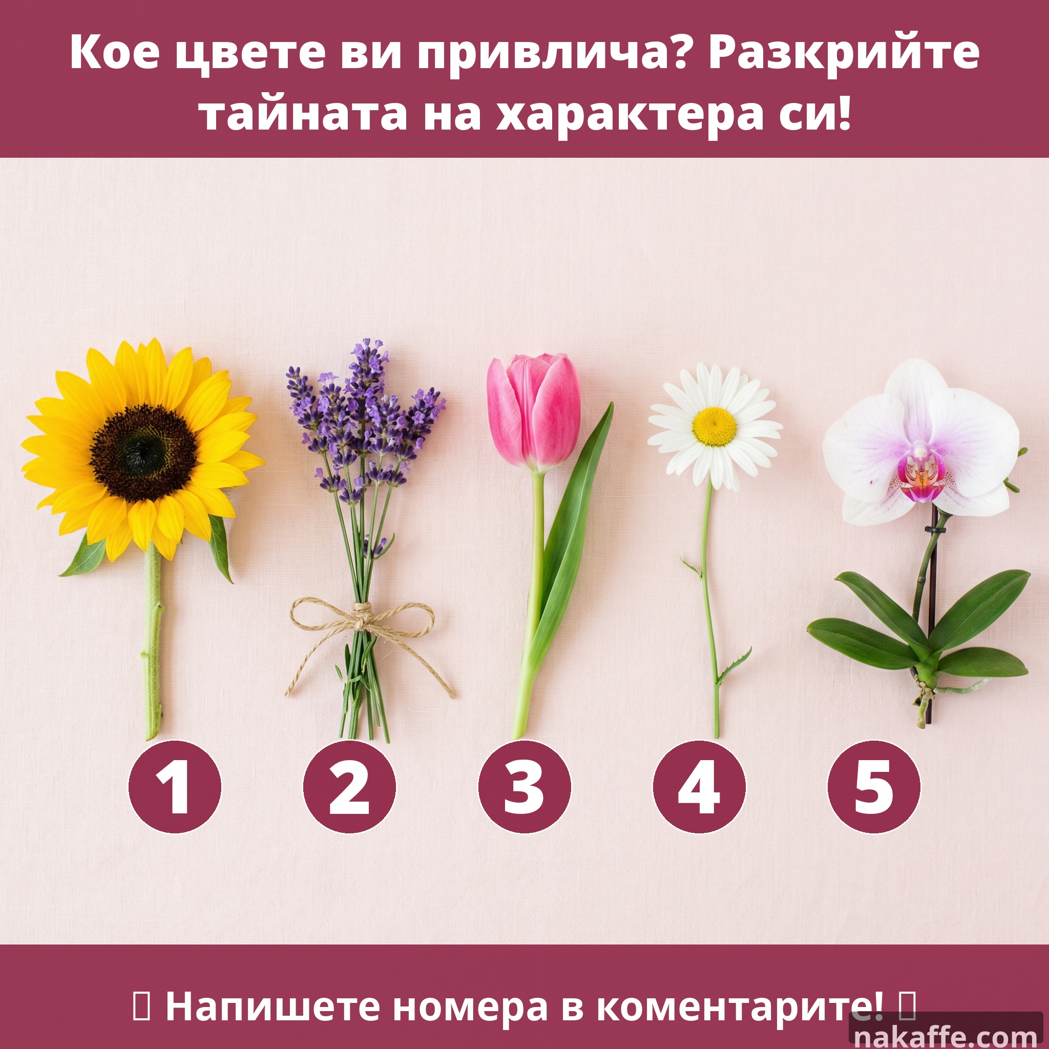 fb 05 викторина цветя