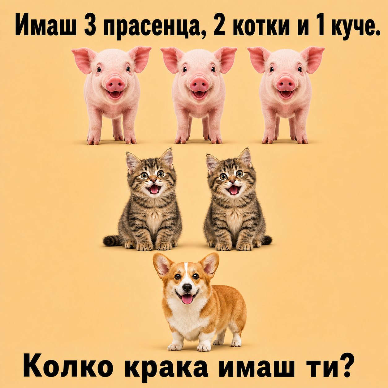 1e1f81a3 07bc 42e3 902c 9ef7d33707d8