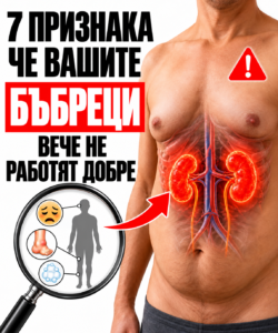 7 признака, че бъбреците ви може да не работят добре